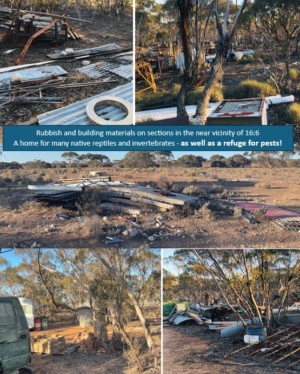 Neighbouring properties with dumps (storage for building supplies)