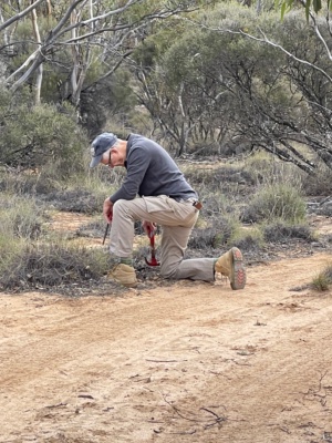 Setting CPE to target Foxes