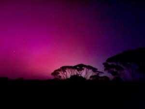 Aurora Australis 12 October 2024 16:6