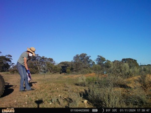 weed control