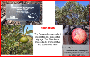 Visit to the Arid Lands Botanic gardens