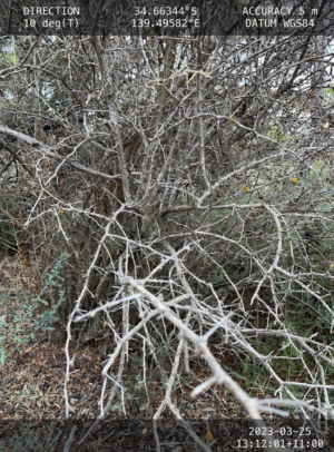Context Cam - noting where weed incursions are