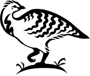 The 16:6 logo
