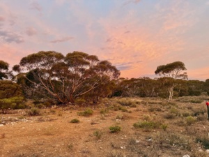 31st November evening light