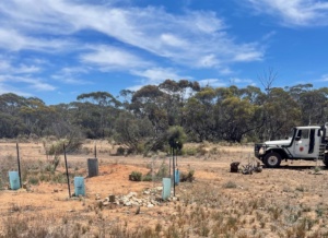 revegetation and plant protection