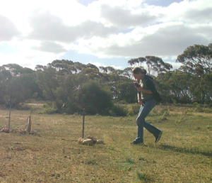 A Human caught on remote wildlife camera - unbeknownst to them