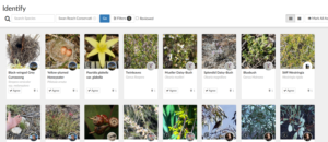 Select a place on iNat and search*v