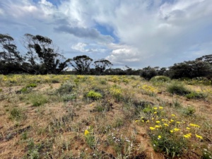 Showing the difference that rain makes 2023