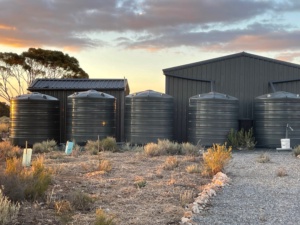 shed and compound