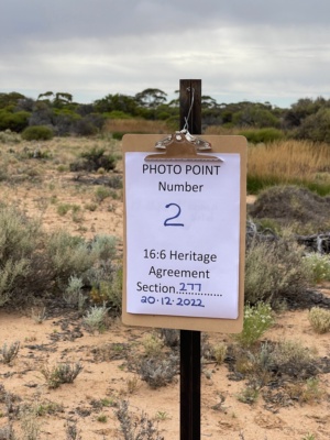 Photo Points