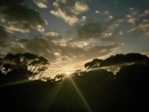 Evening light