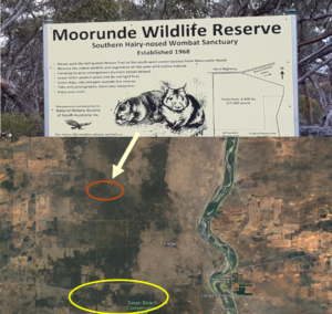 Moorundie Sanctuary Fischer