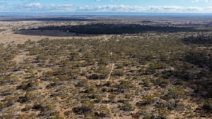 Section 13 from drone ( B Smith credit)