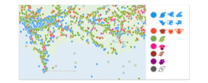 What the icons and colour mean in iNat