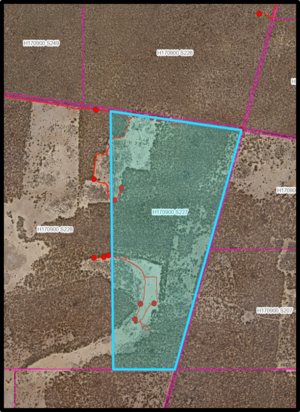Wheel cactus Mapping