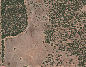Mapping wombats