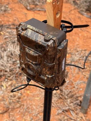 Setting up Solar Remote camera trials - For Fox baiting