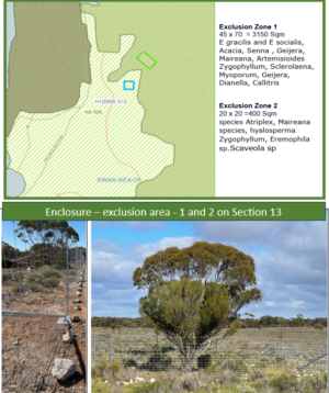 Vegetation Mapping Section 13 exclusion